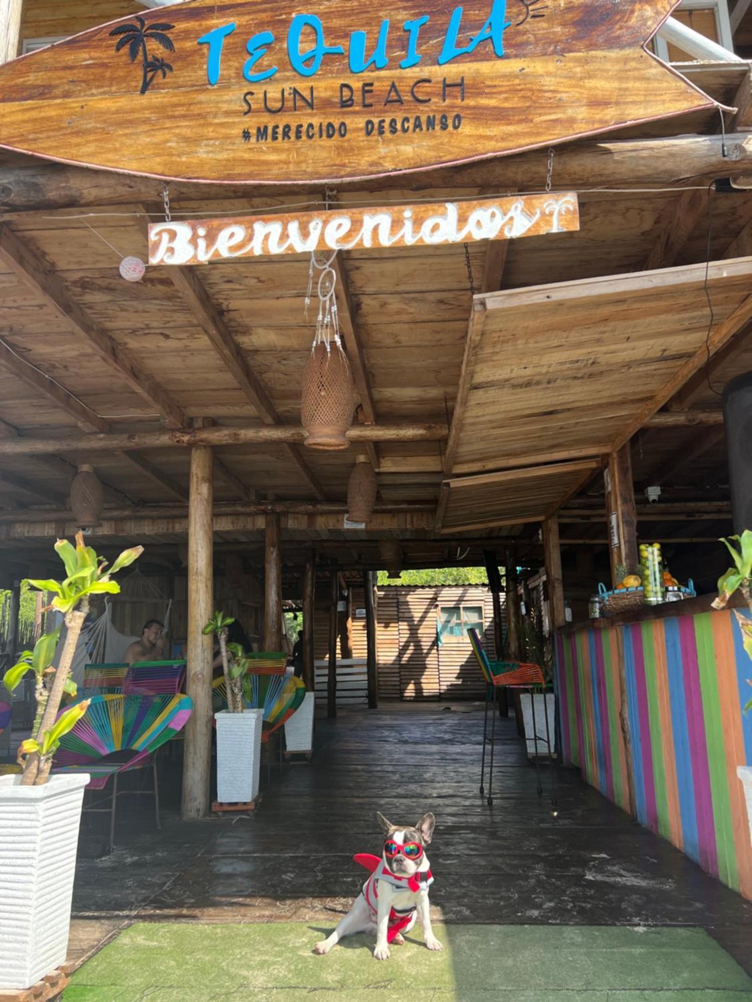 Tequila Sunbeach Baru Eco-Hotel Pendales Exterior photo